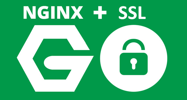 Dica rápida: Configurando NGINX e SSL com Node.js
