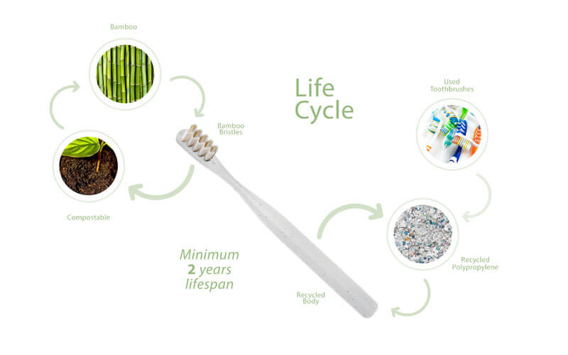 Escova de dentes ecológica com cerdas de bambu substituíveis