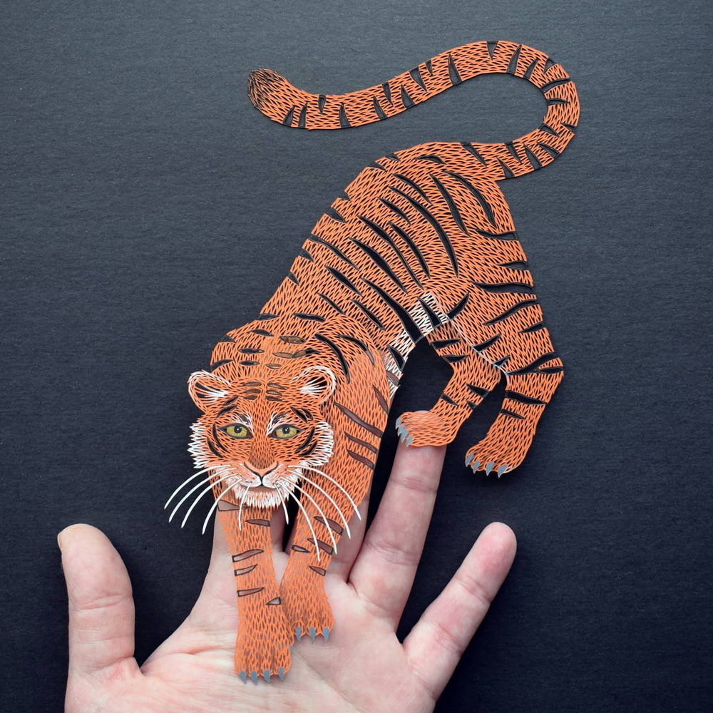 Incrível arte de corte de papel multicolorido por Pippa Dyrlaga