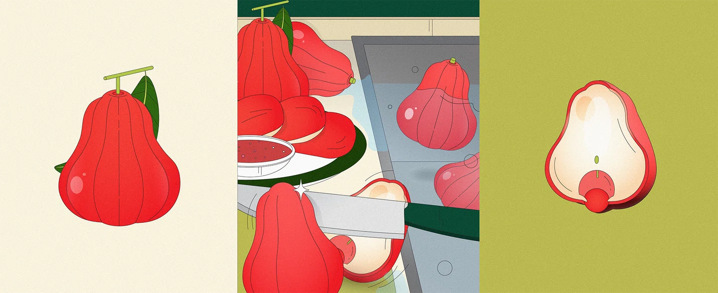 “Desenhar parece muito com cozinhar”: Tarn Susumpow cria ilustrações deliciosas como se seguisse uma receita